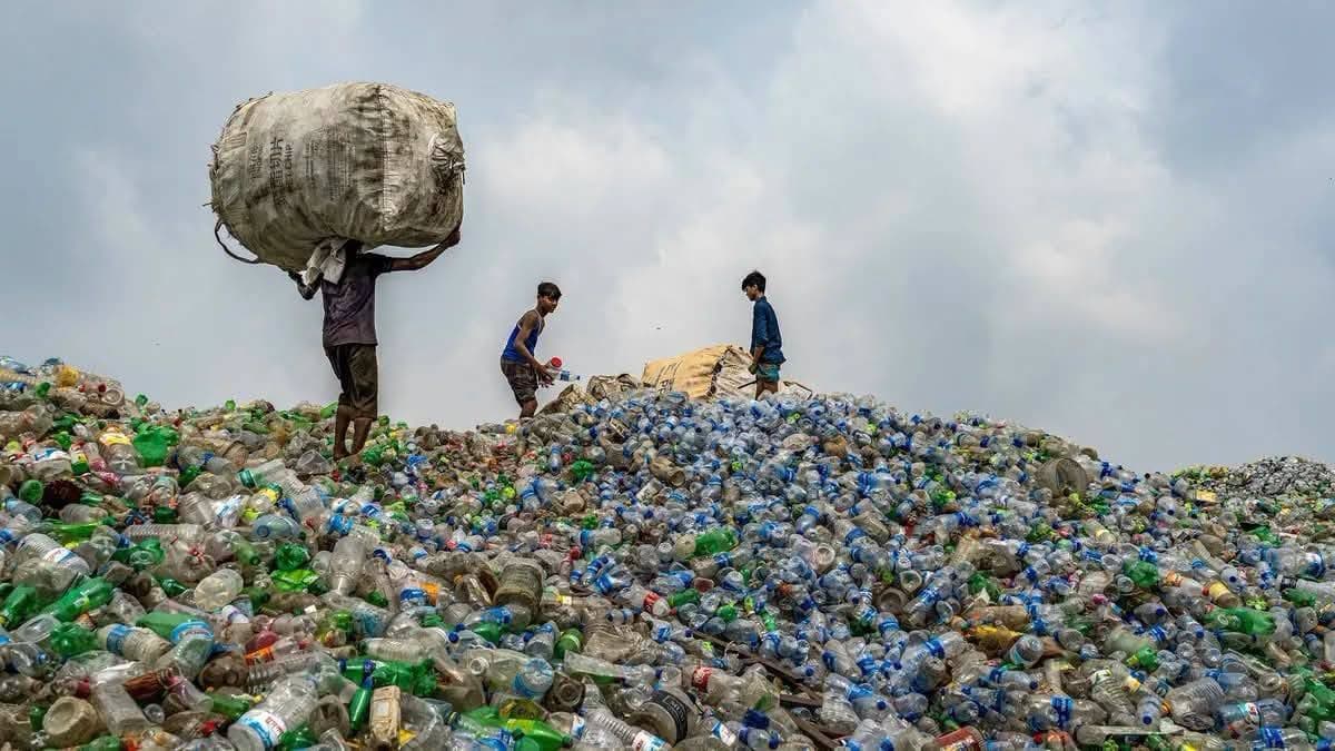Sikensi: Future capitale de l'économie circulaire