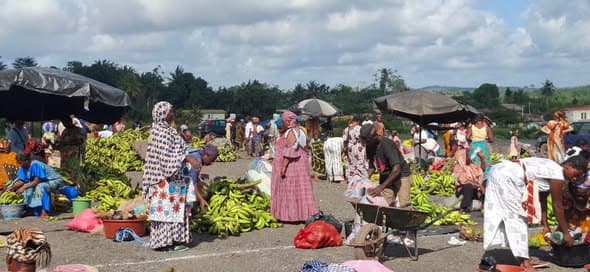 Sikensi: le marché de gros d'élibou est maintenant en service